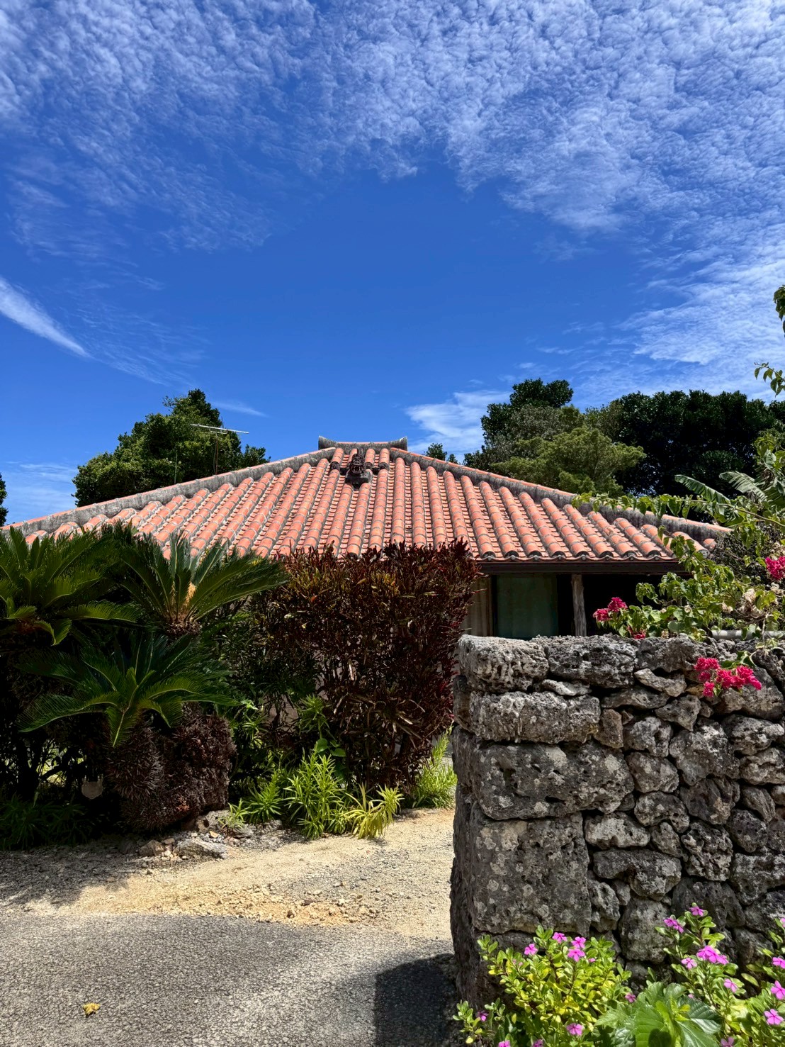 Description of the image